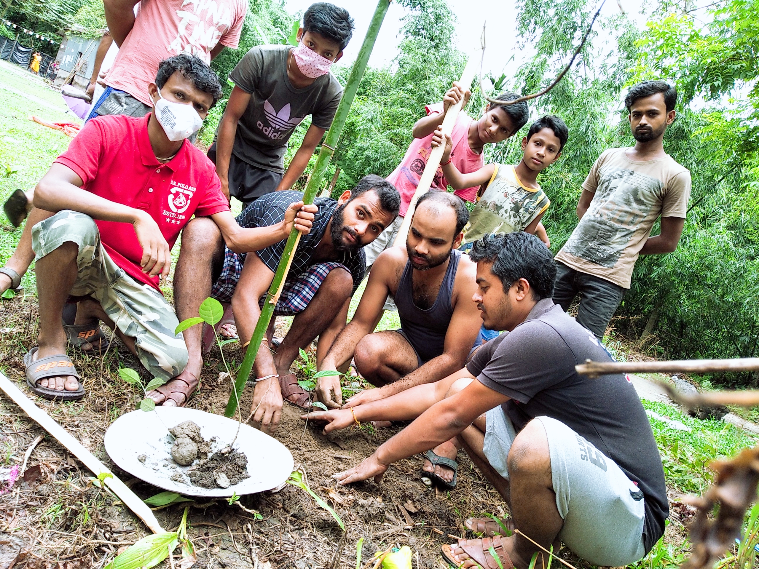Tree Plantation